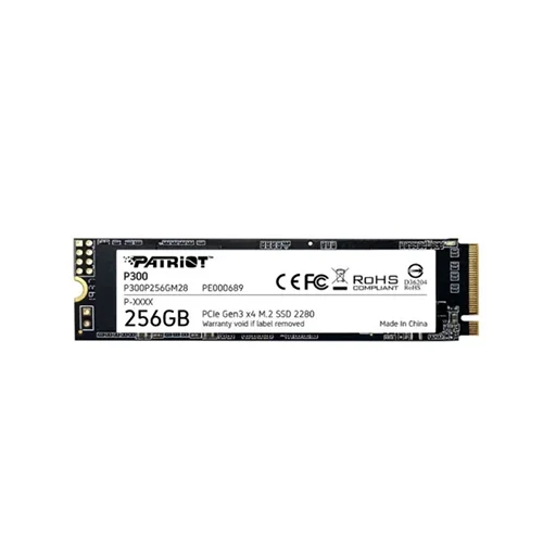 Patriot P300 256 GB